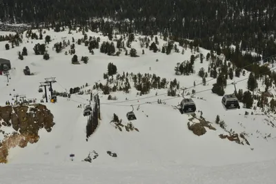 DSC_6683 (Large).JPG